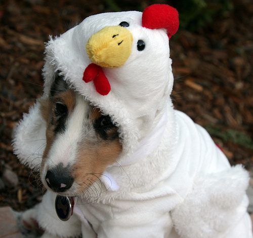 3769311927_7a446678b4 3769311927_7a446678b4